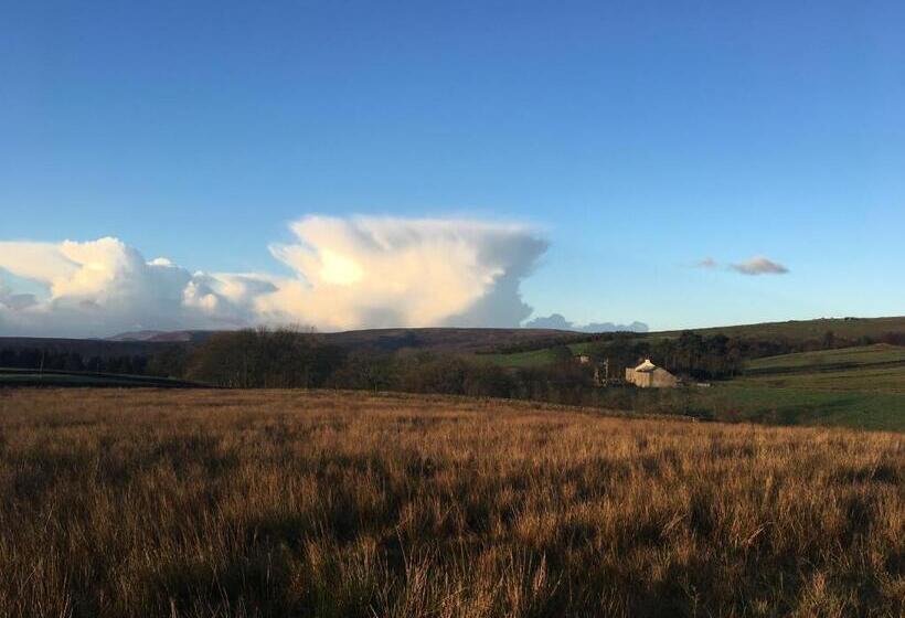 Dale House Barn And B&b