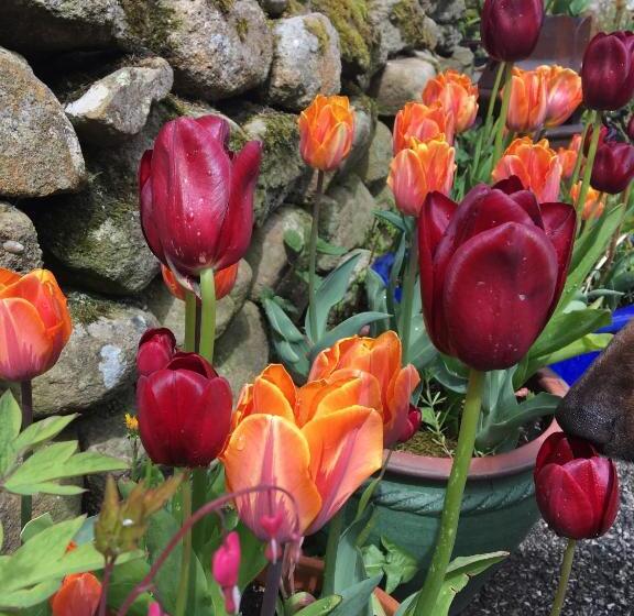 Dale House Barn And B&b