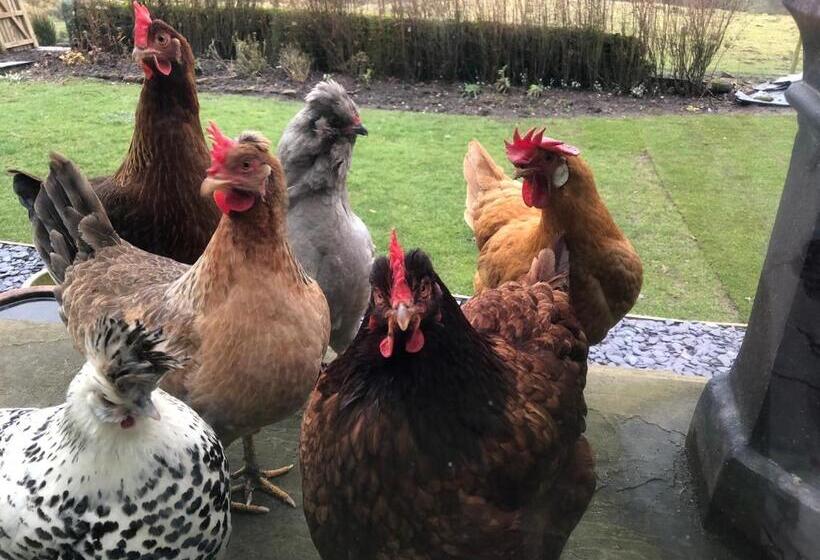 Dale House Barn And B&b