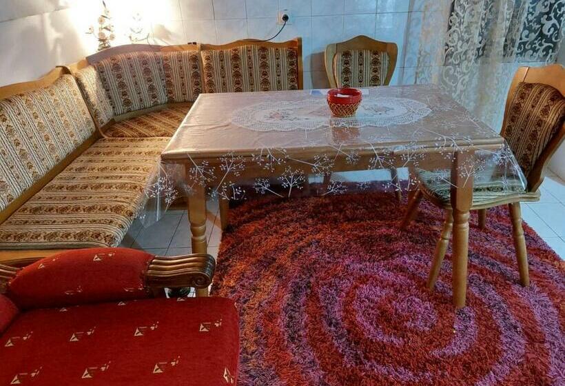 Hotel Airport Home Radinovic