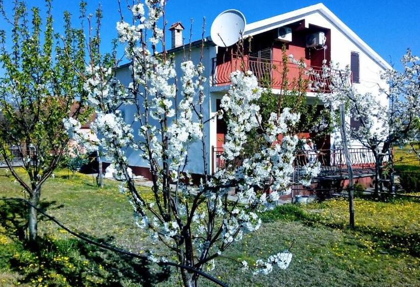 Hotel Airport Home Radinovic