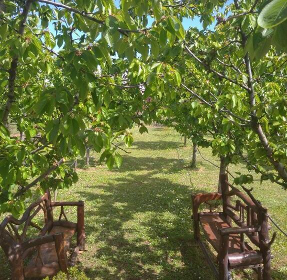 Hotel Airport Home Radinovic