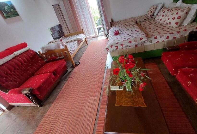 Hotel Airport Home Radinovic