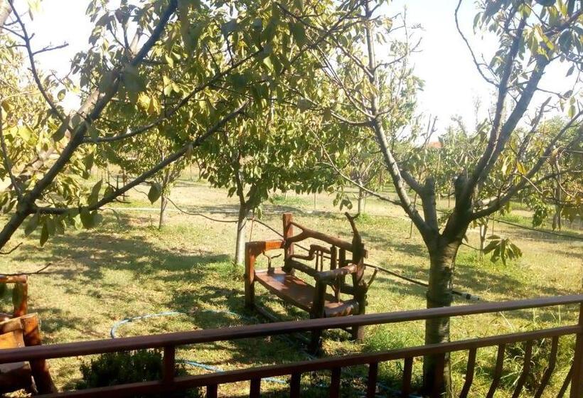 Hotel Airport Home Radinovic