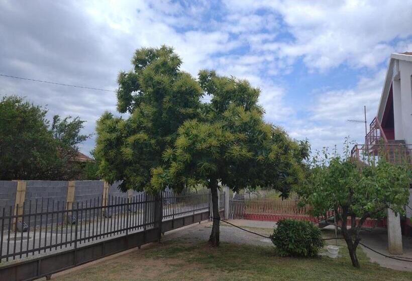 Hotel Airport Home Radinovic