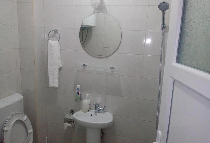 Hotel Airport Home Radinovic