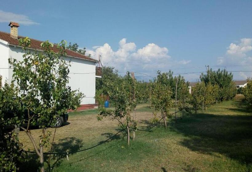 Hotel Airport Home Radinovic