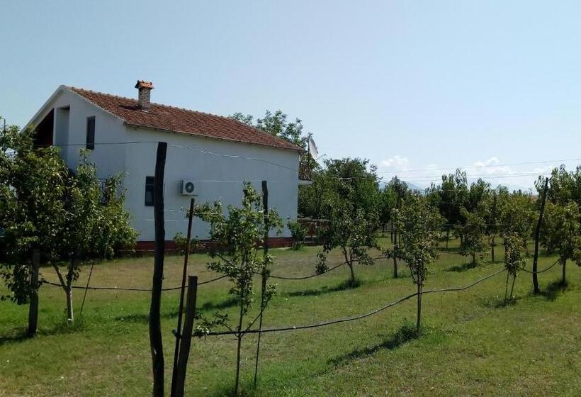 Hotel Airport Home Radinovic