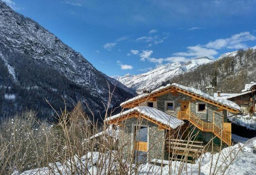 Отель Delfin Dal Pianhol