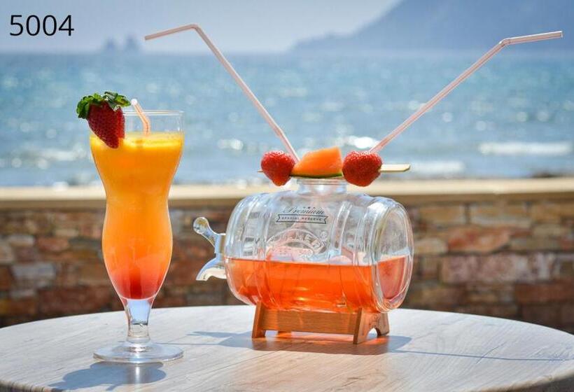 בית מלון כפרי Hôtel George Sand