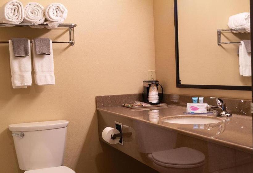 Отель Newcastle Lodge & Convention Center