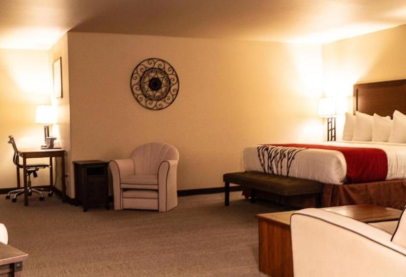 Отель Newcastle Lodge & Convention Center