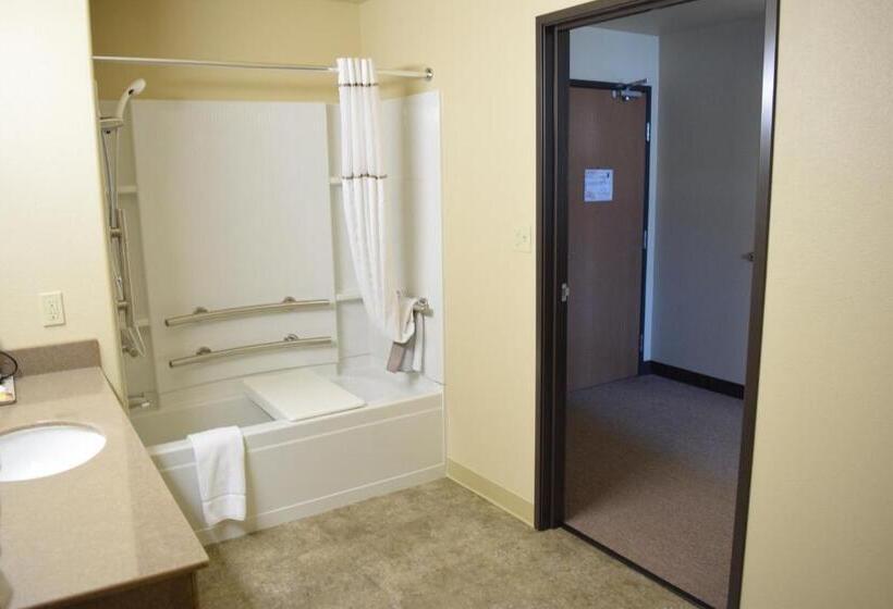 Отель Newcastle Lodge & Convention Center