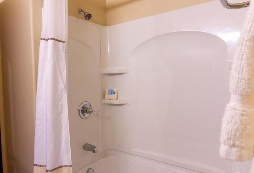 Отель Newcastle Lodge & Convention Center