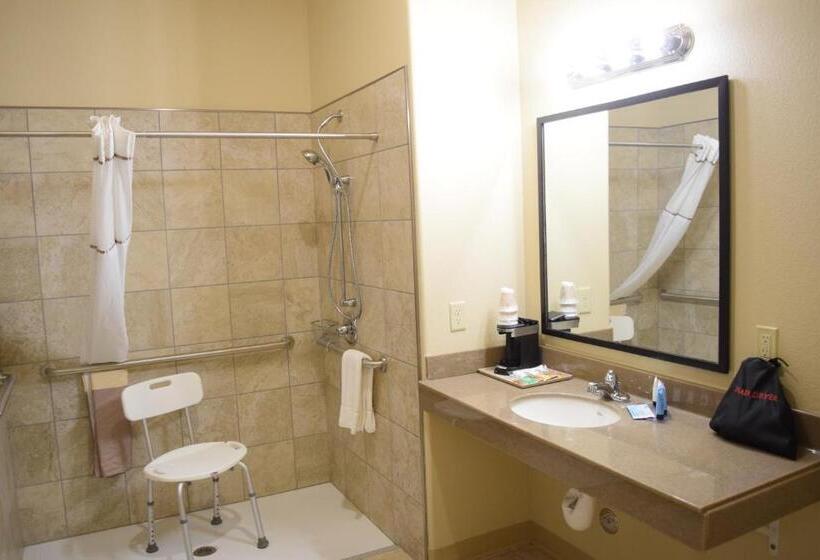 Отель Newcastle Lodge & Convention Center