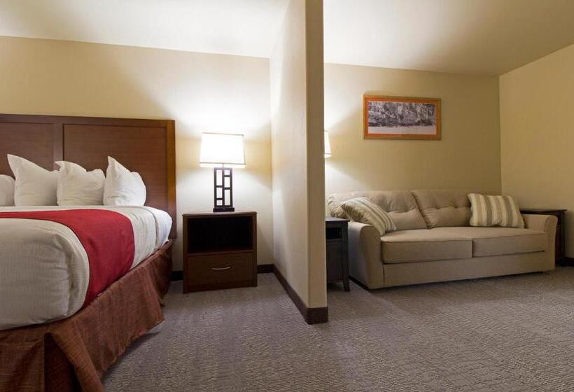 Отель Newcastle Lodge & Convention Center