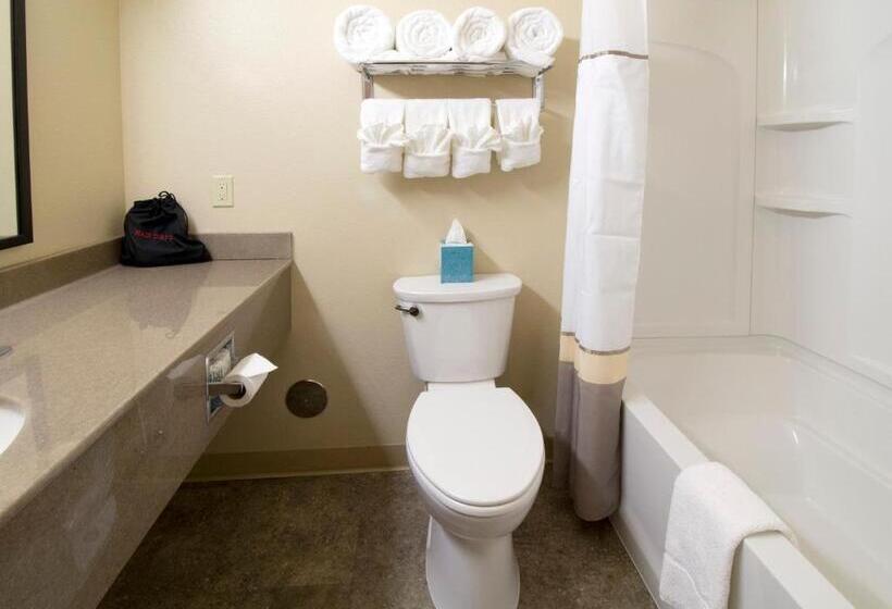 Отель Newcastle Lodge & Convention Center