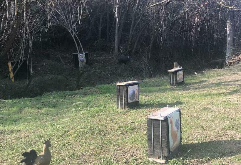 호텔 Pizzicalaluna