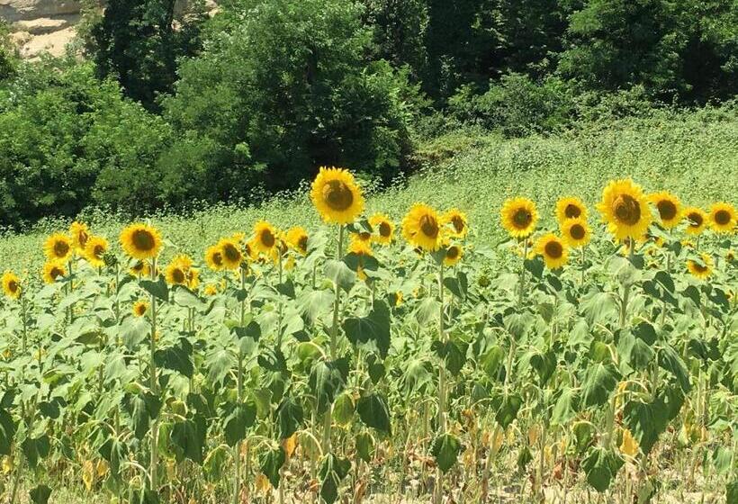 호텔 Pizzicalaluna