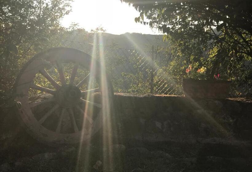 호텔 Pizzicalaluna