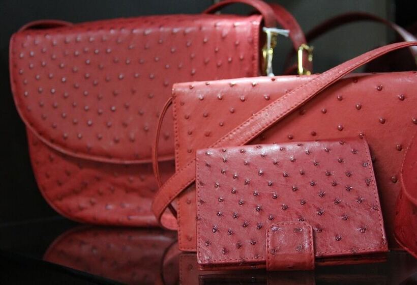 پانسیون Bakenskraal Ostrich Palace