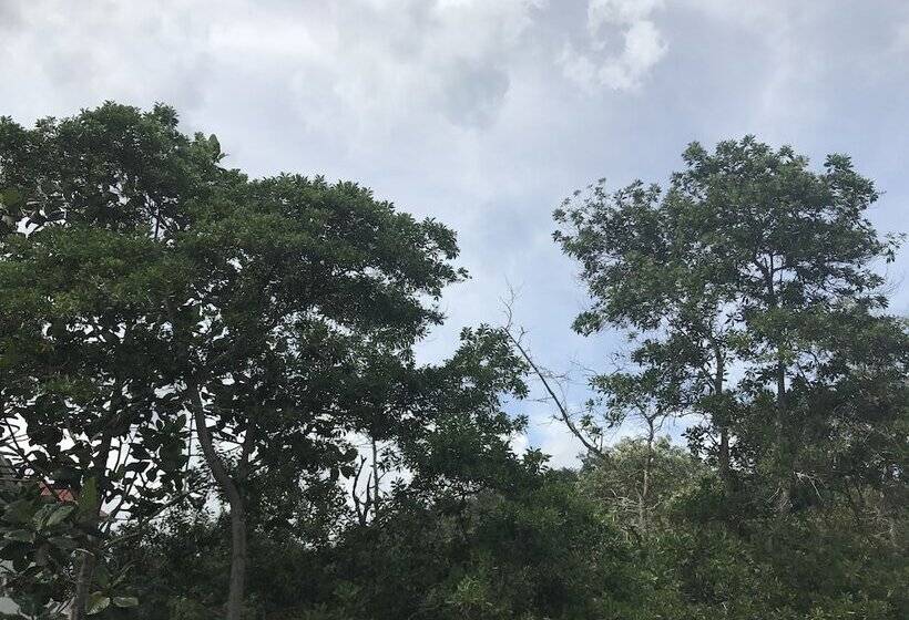 펜션 Bukit Bentong Homestay