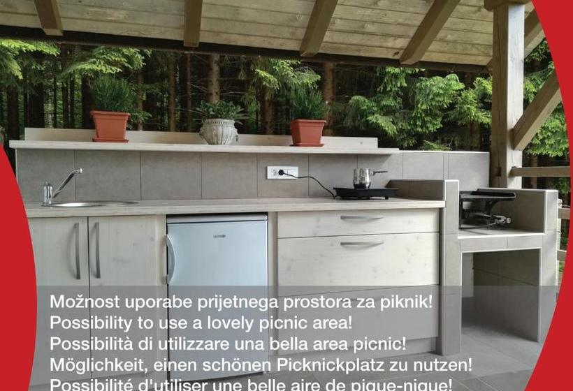 پانسیون Gostilna S Prenočišči Pav