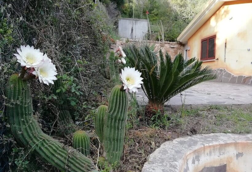 بنسيون In Campagna Da Nino