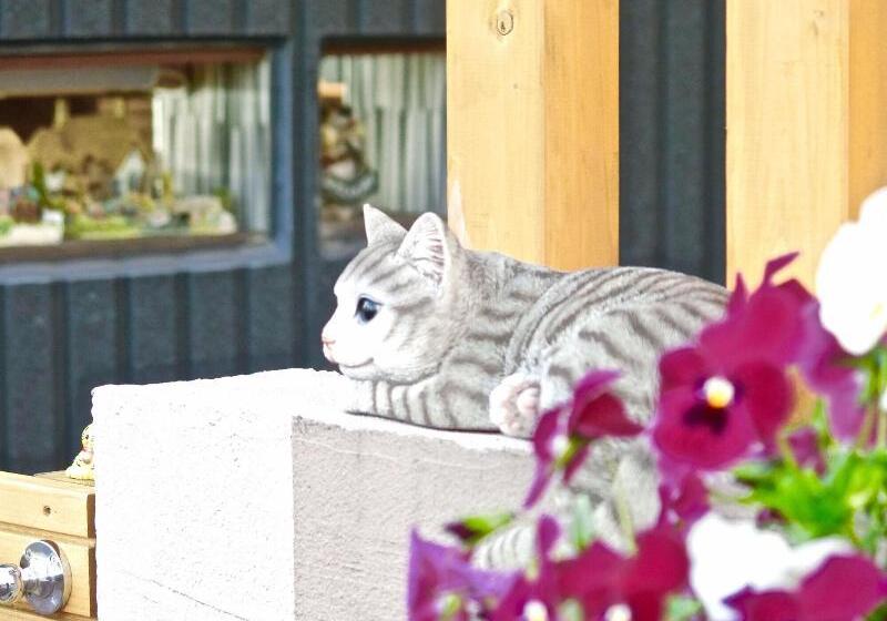 פנסיון Koke Musu Inn