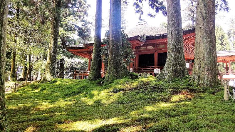 פנסיון Koke Musu Inn