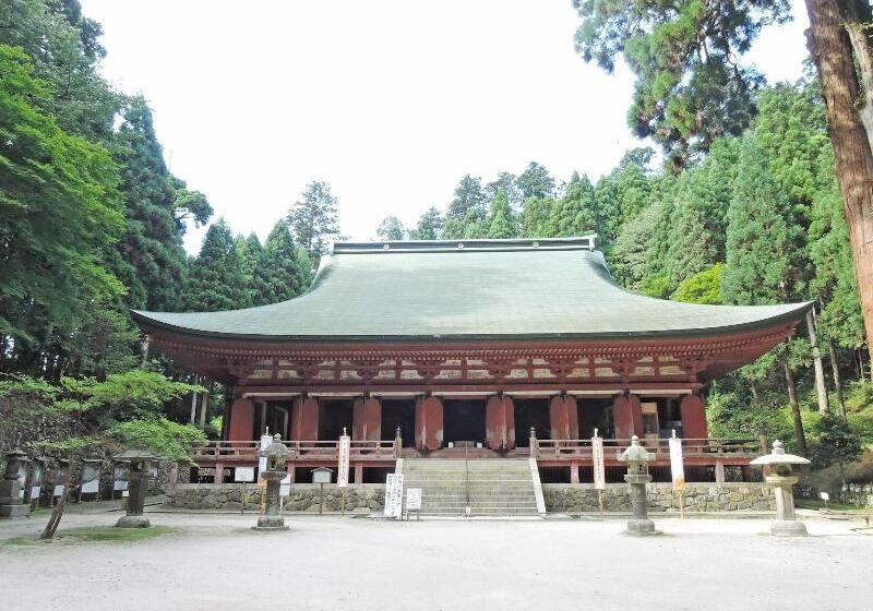 פנסיון Koke Musu Inn