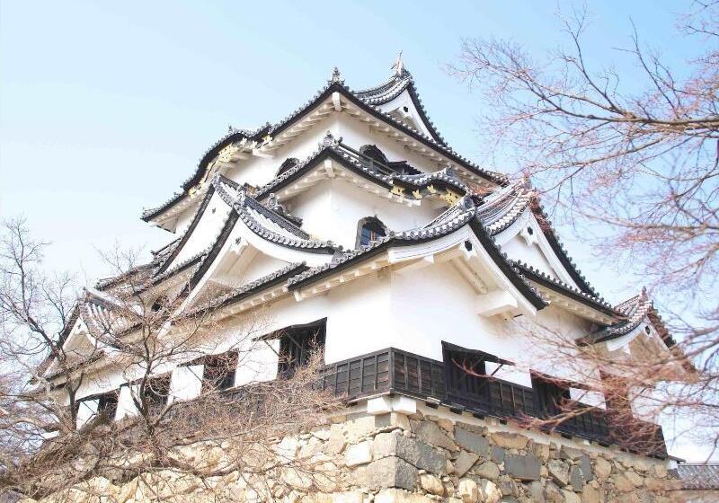 פנסיון Koke Musu Inn