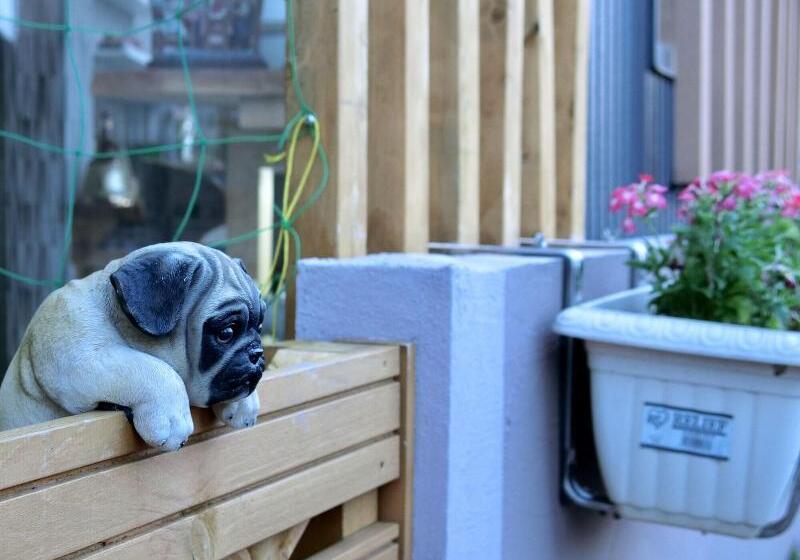 פנסיון Koke Musu Inn