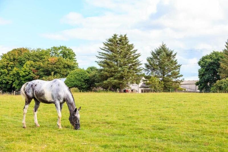 بنسيون Langdon Farm Guest House