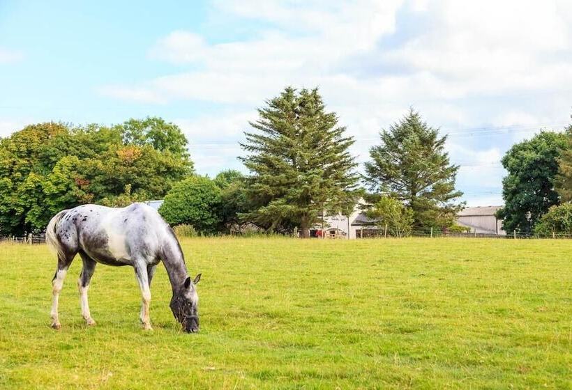 بنسيون Langdon Farm Guest House