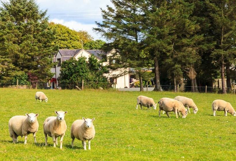 بنسيون Langdon Farm Guest House