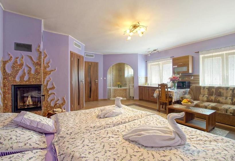 膳宿费 Penzion U Paroháče