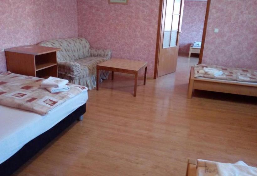 膳宿费 Penzion U Paroháče