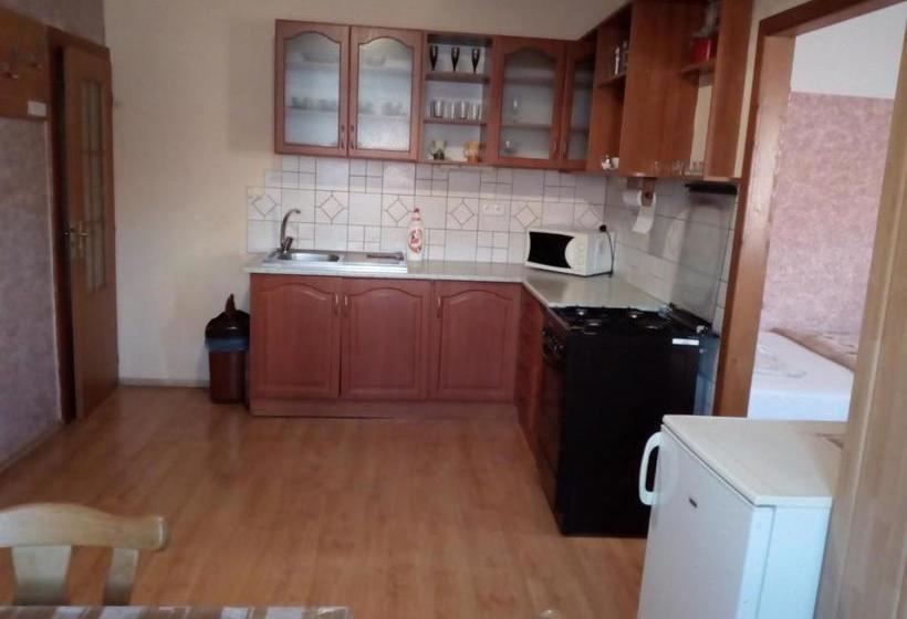 膳宿费 Penzion U Paroháče