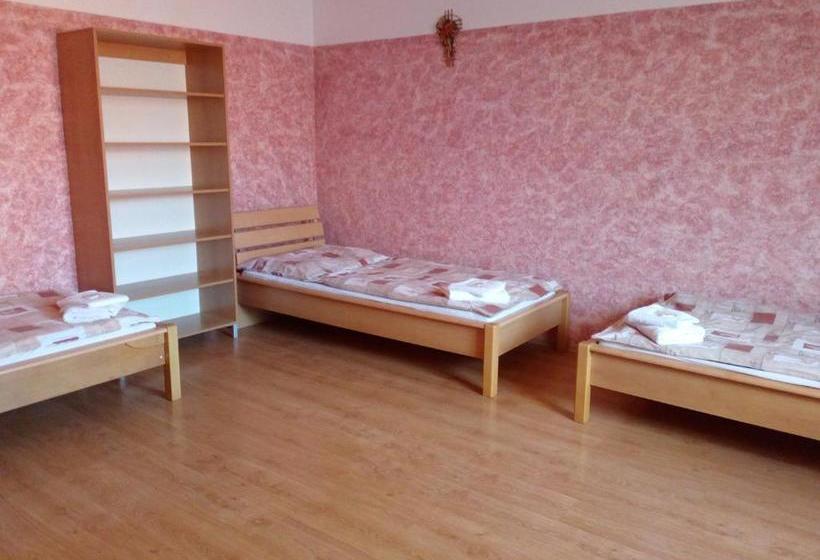 膳宿费 Penzion U Paroháče