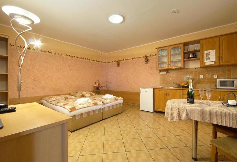 膳宿费 Penzion U Paroháče