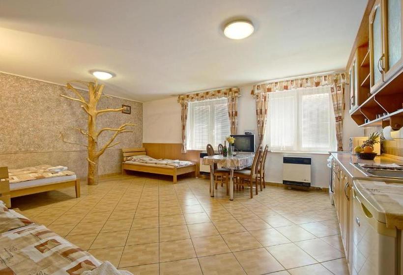 膳宿费 Penzion U Paroháče