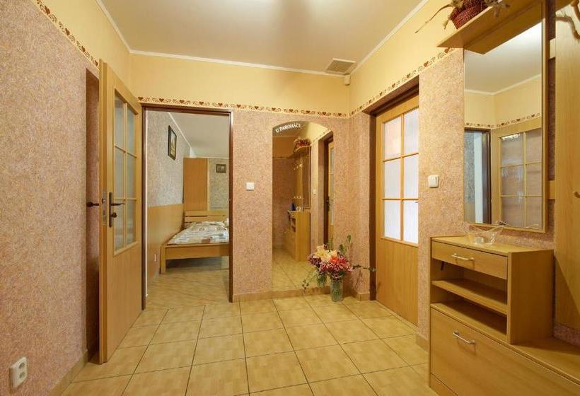 膳宿费 Penzion U Paroháče