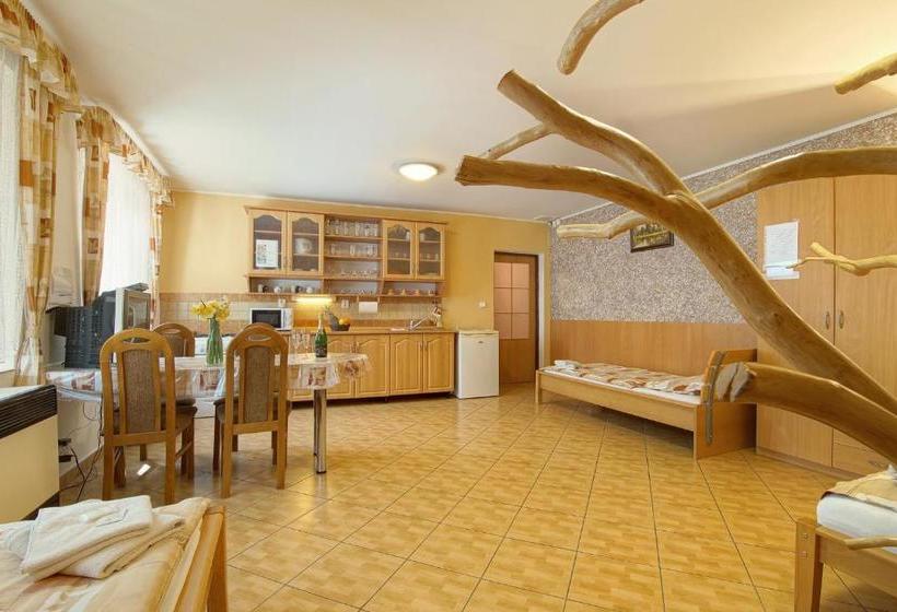 膳宿费 Penzion U Paroháče