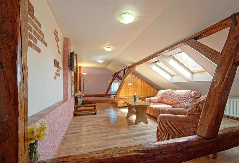 膳宿费 Penzion U Paroháče