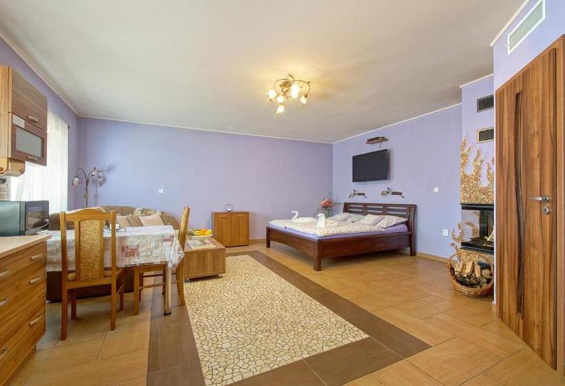 膳宿费 Penzion U Paroháče