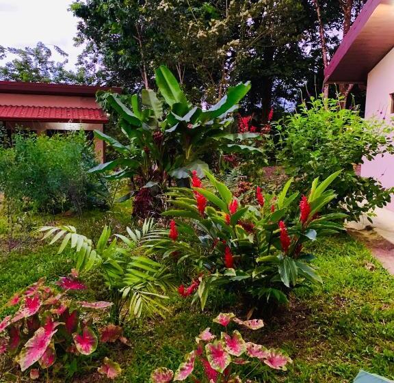 膳宿费 Villa Tucan