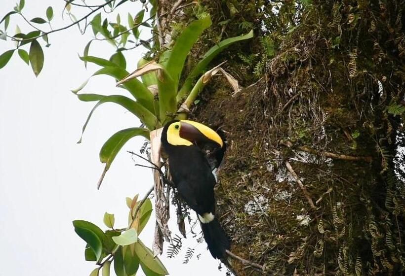 膳宿费 Villa Tucan