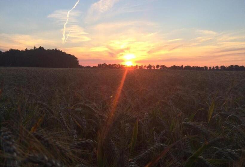 Pension Zum Alten Gasthaus Hänsel