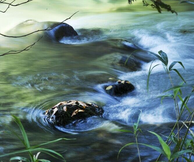 호스텔 Seseraginomori Chambre D Hote Etoile Et Fees